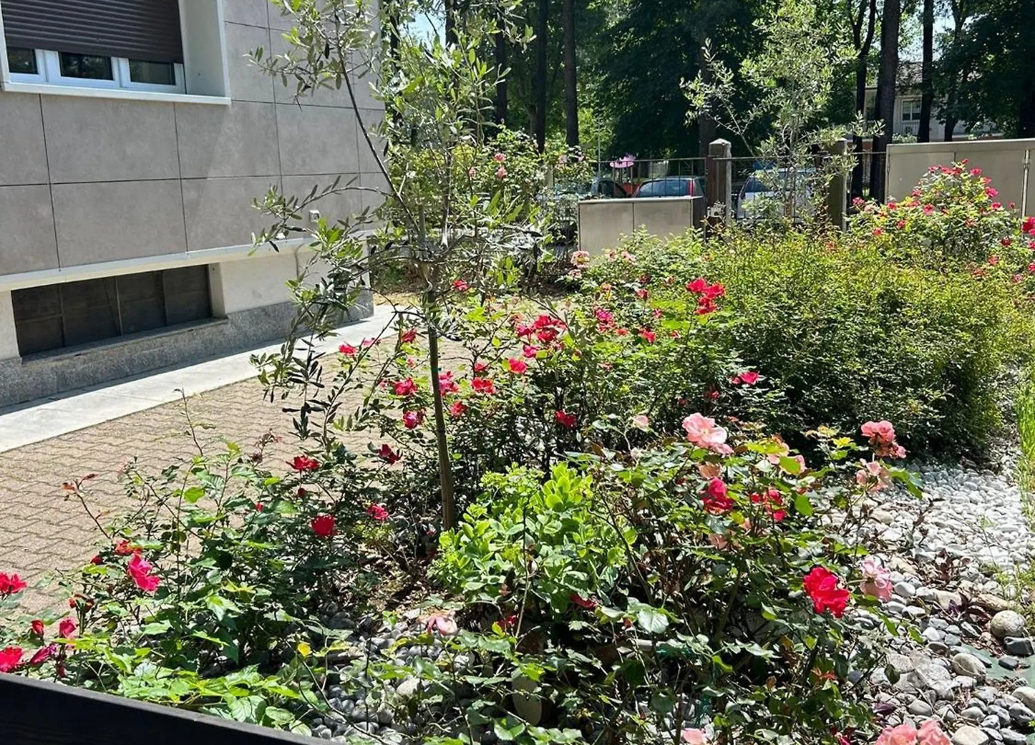 Beb Via Sardegna Apartment Legnano Italy